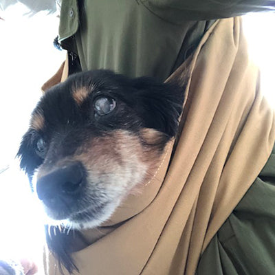 肩や腰が随分ラクになりました