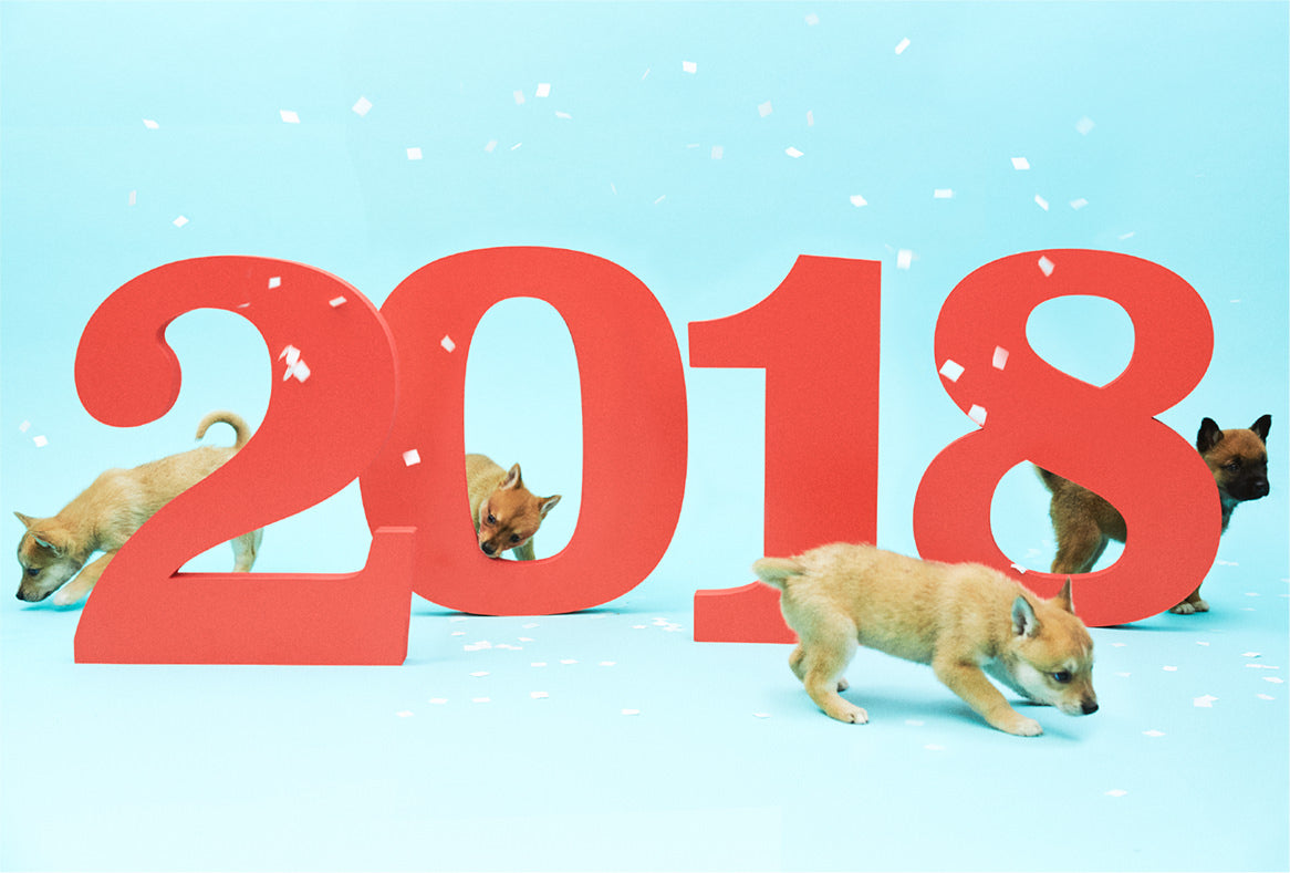 触るだけで縁起がいい!?2018年は戌年のためわんこを触るだけでいいなんて幸せすぎる