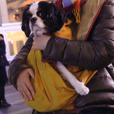 とても使いやすい