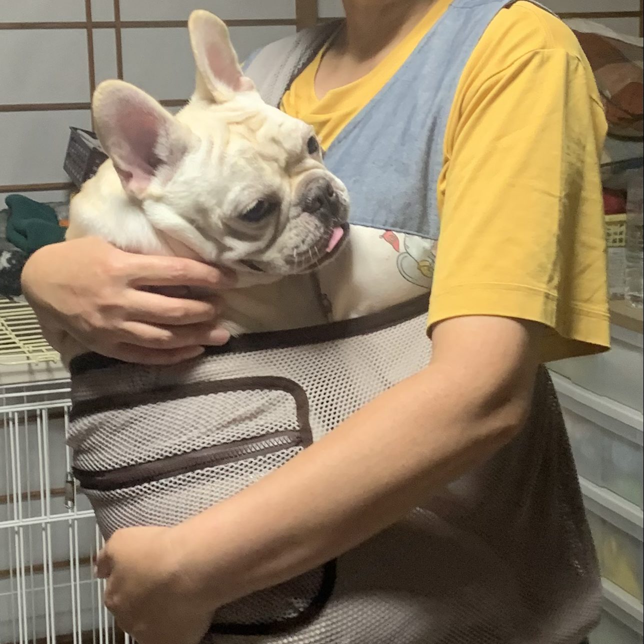 Instagramで拝見して直ぐに購入