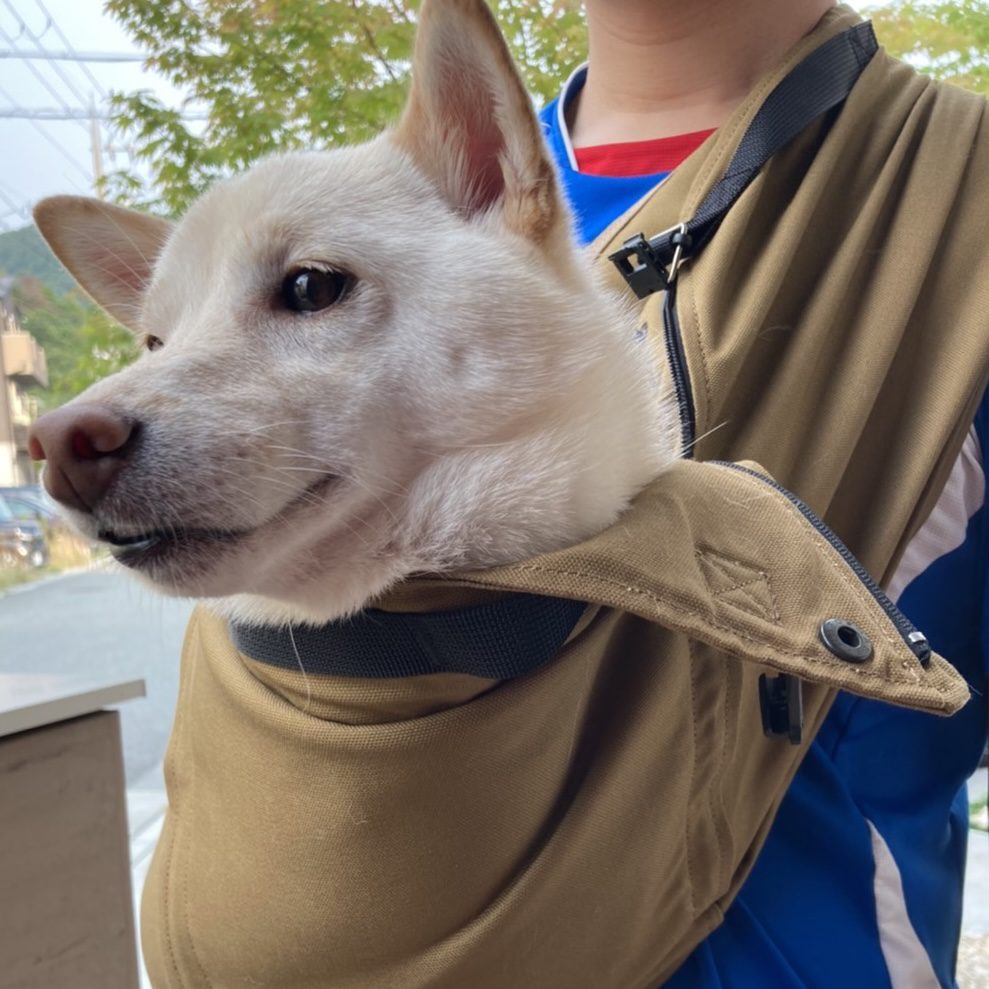 普段の抱っこの姿勢のままスリングに入れられる