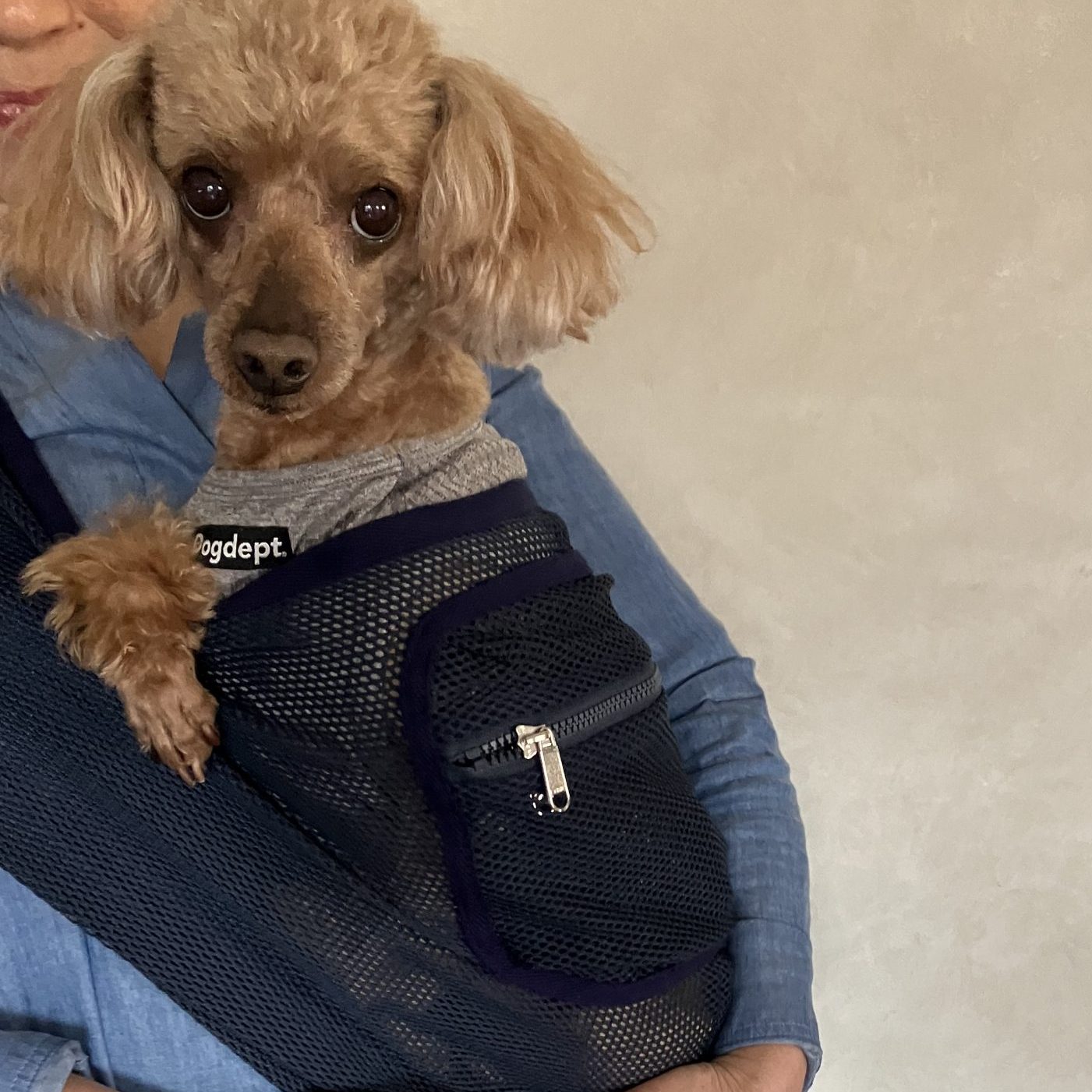 気持ちよさそう