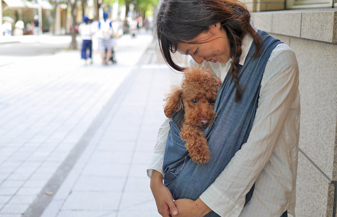 斜めがけタイプの犬用抱っこ紐