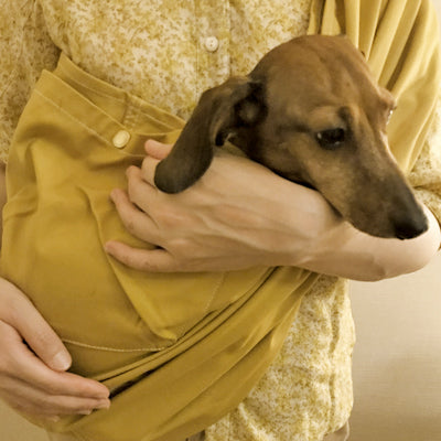 病院に行く時に活躍しそう