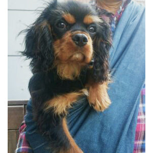 居心地が良いのか、なかなか出てくれません!