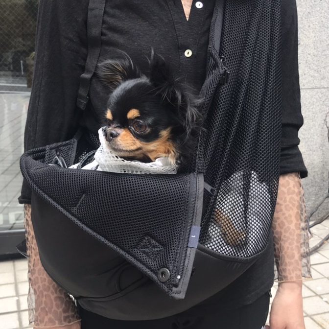 ファスナーを少しおろした状態