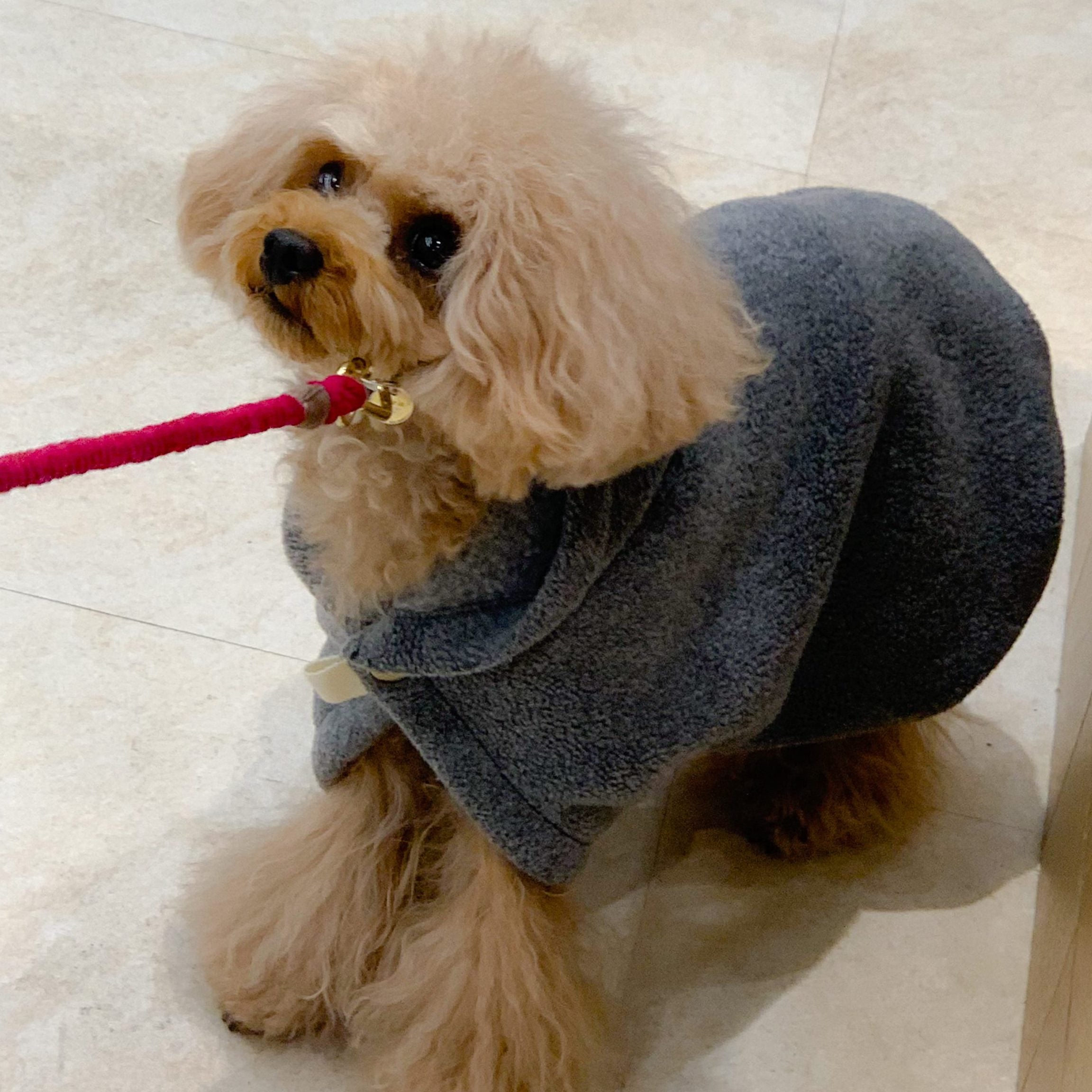 ワンコに優しい作り