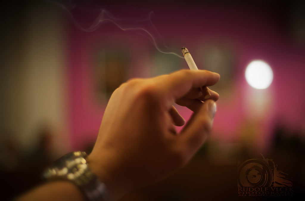 拝啓 坂上忍様、 愛犬を殺したくないならまず禁煙から