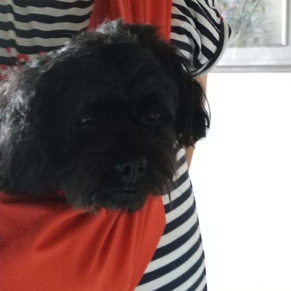 探し求めていたのはこれだ!と確信