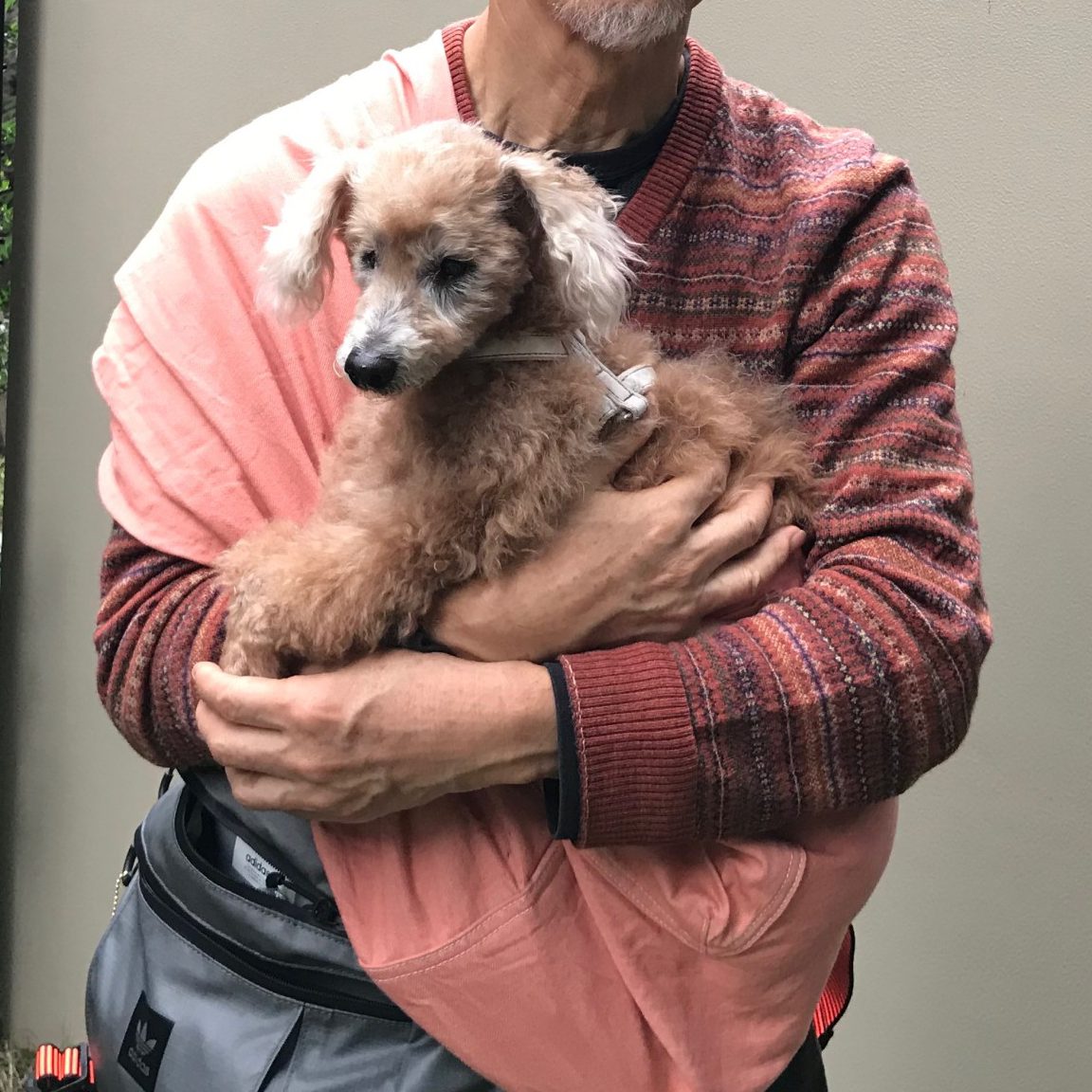 犬に優しいスリング