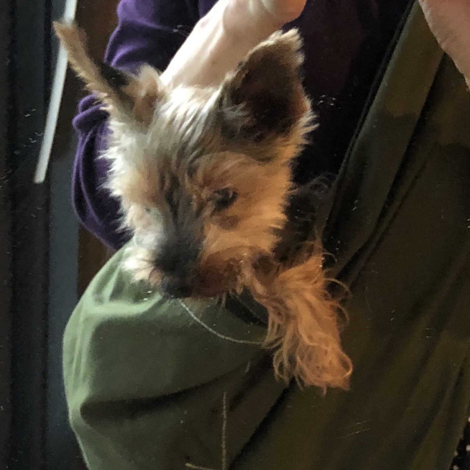 とても、居心地良さそう