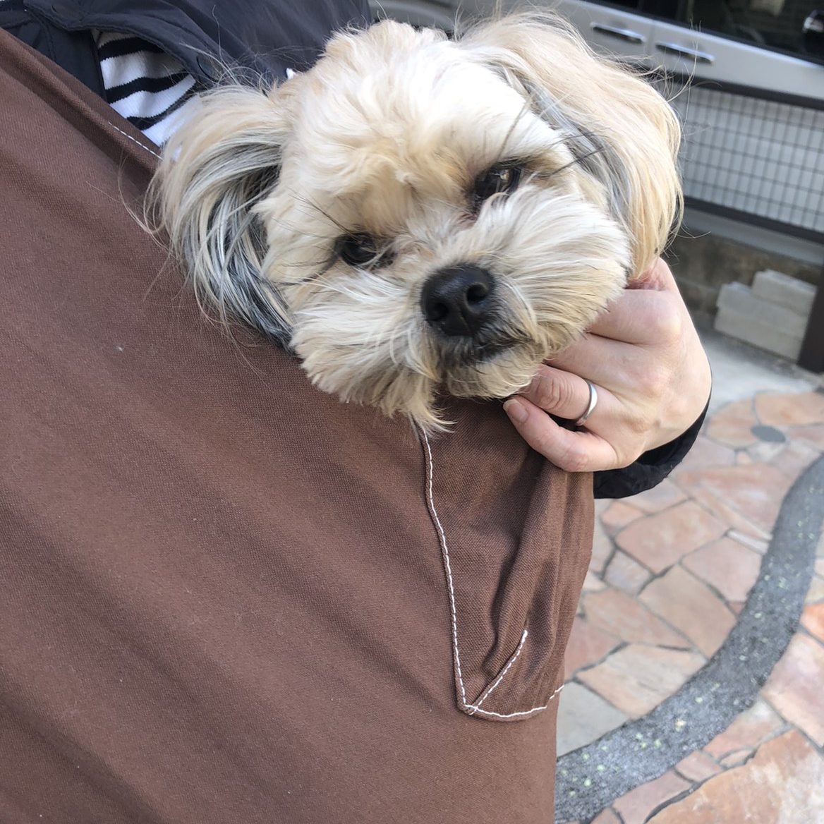 お互いに楽さを感じました!