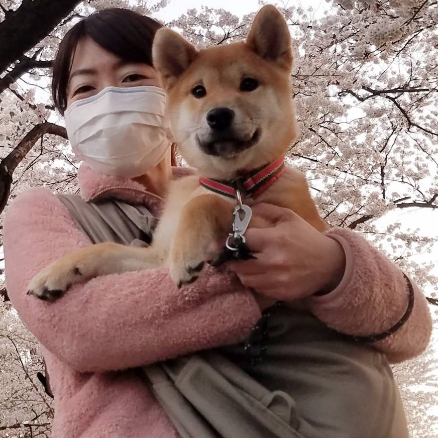 ドッグスリングがなければ、外出できません