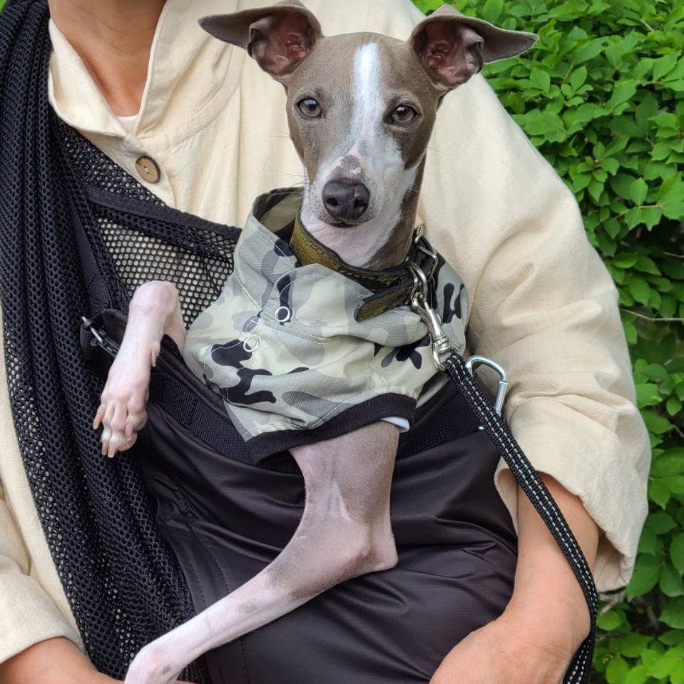 二人ともすっかりスリングがお気に入り