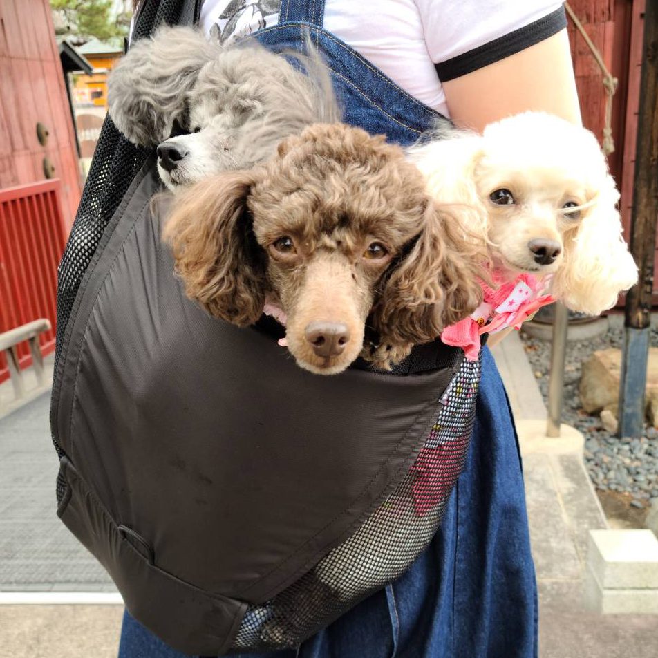 安定感があるので安心