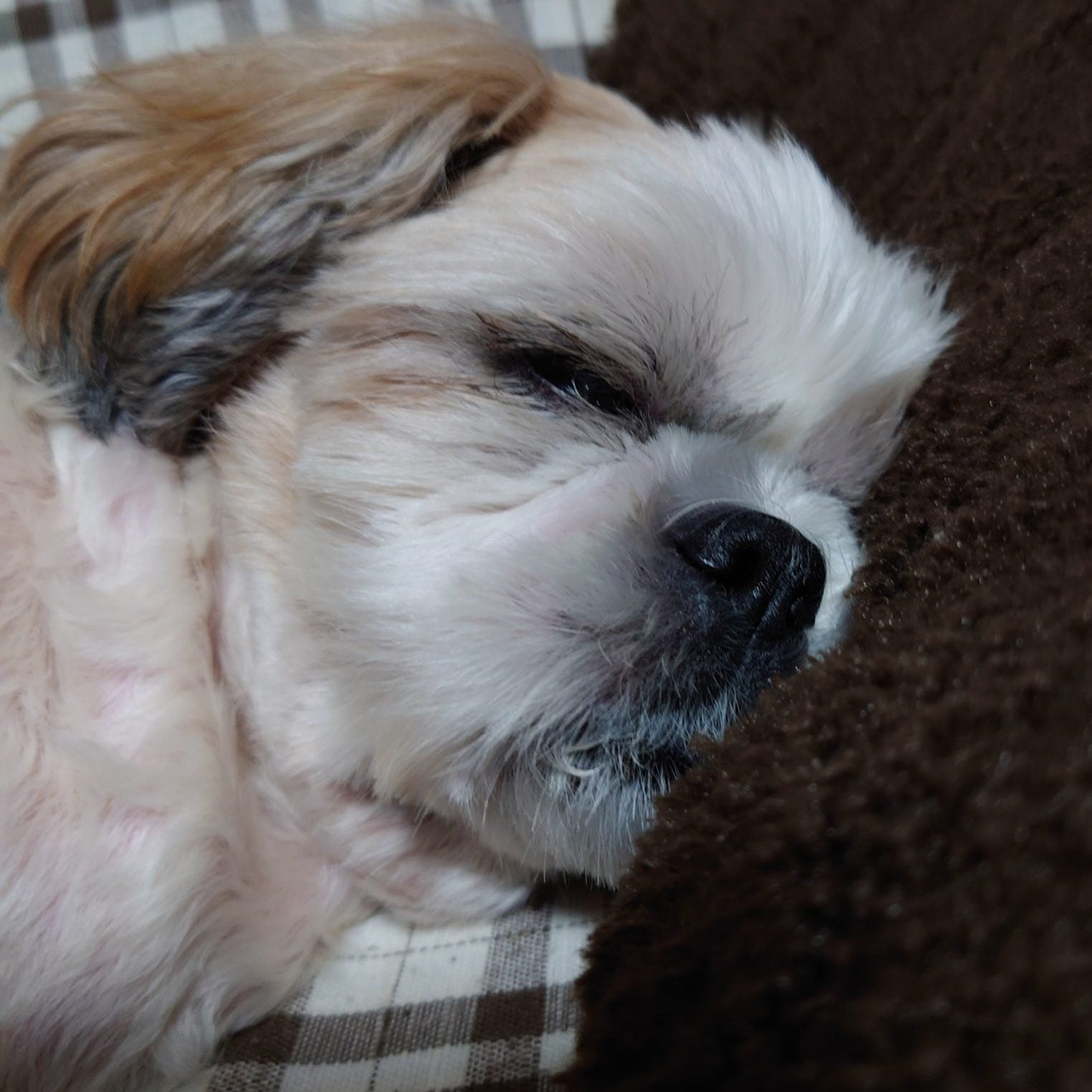 何とかラクにしたい