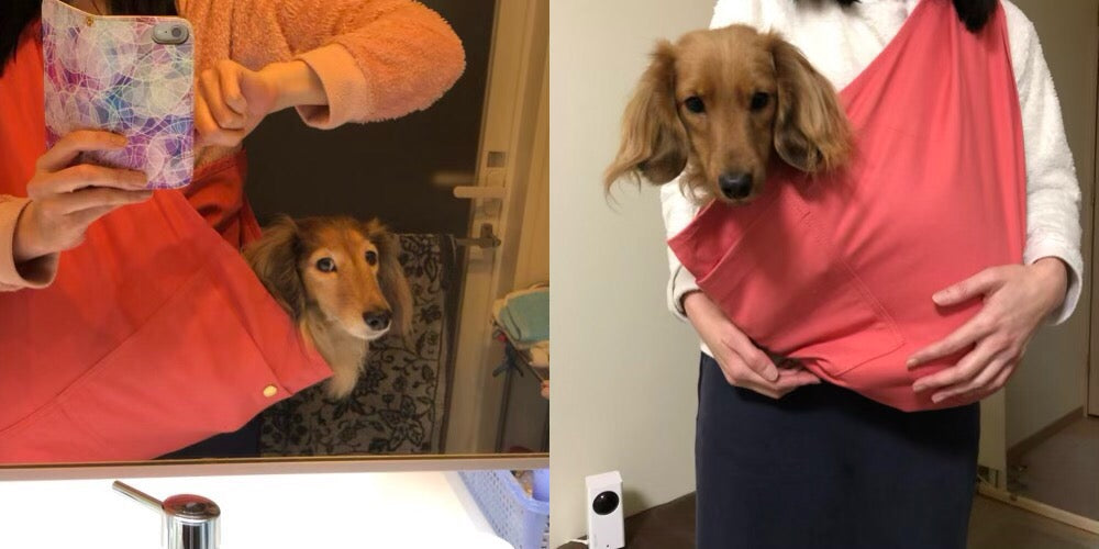 スリングの中に無理矢理入ろうとします