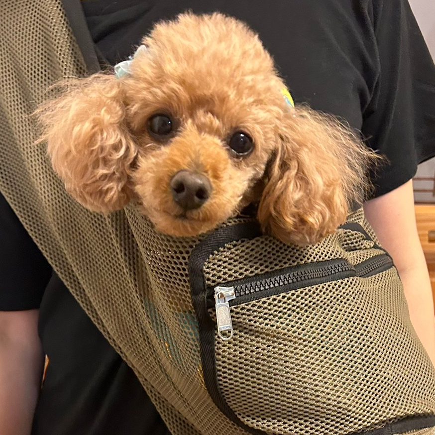 買って大正解でした。