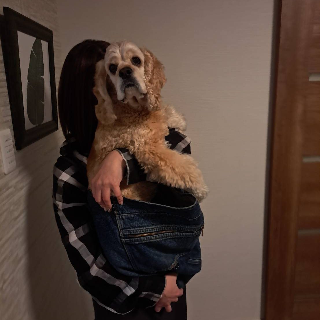 しっかりとした安定感がある