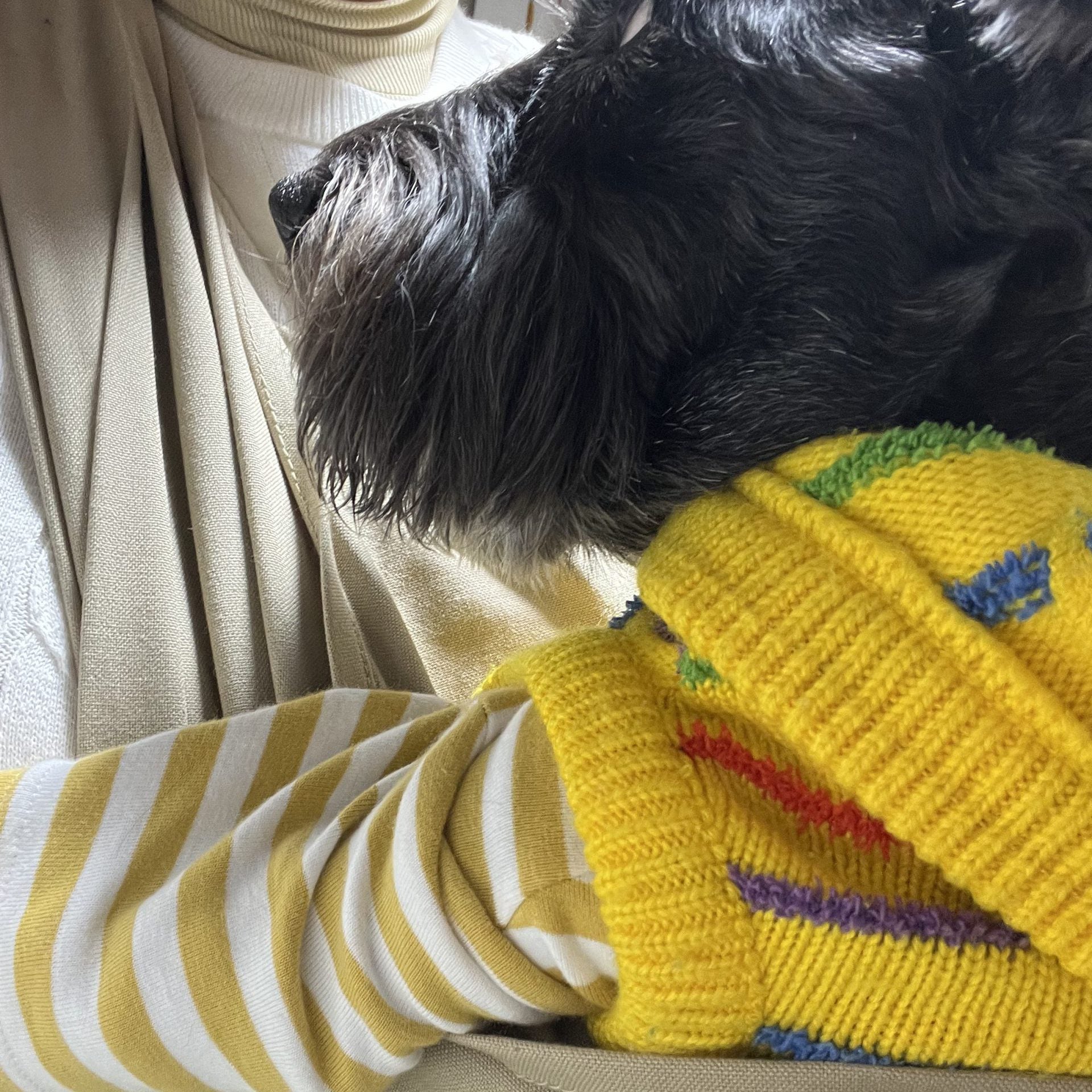 生地がしっかりしていて 安心