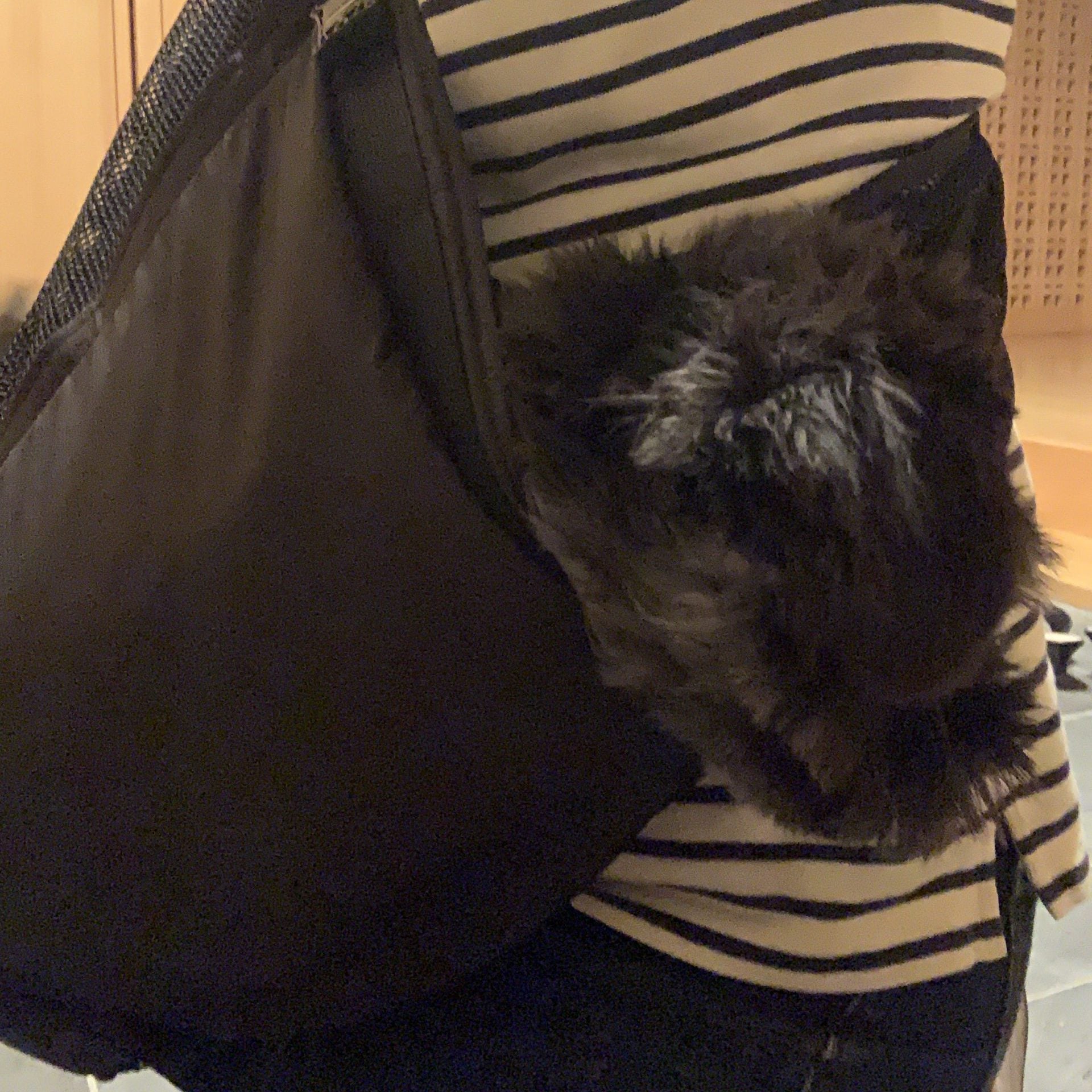 普段見えない景色を楽しんでいる