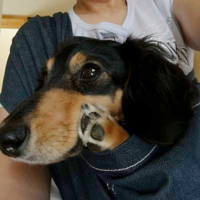 スリングから降りてくれない程大好き