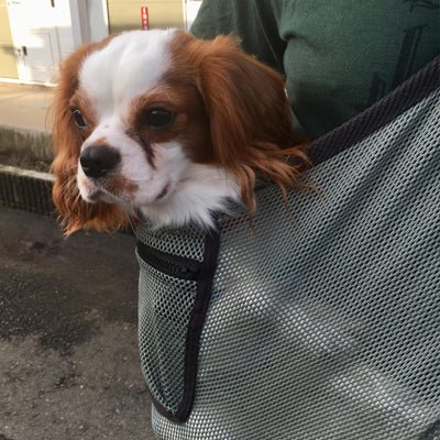 身体に密着しても涼しく感じます