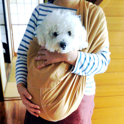 災害の時など用に