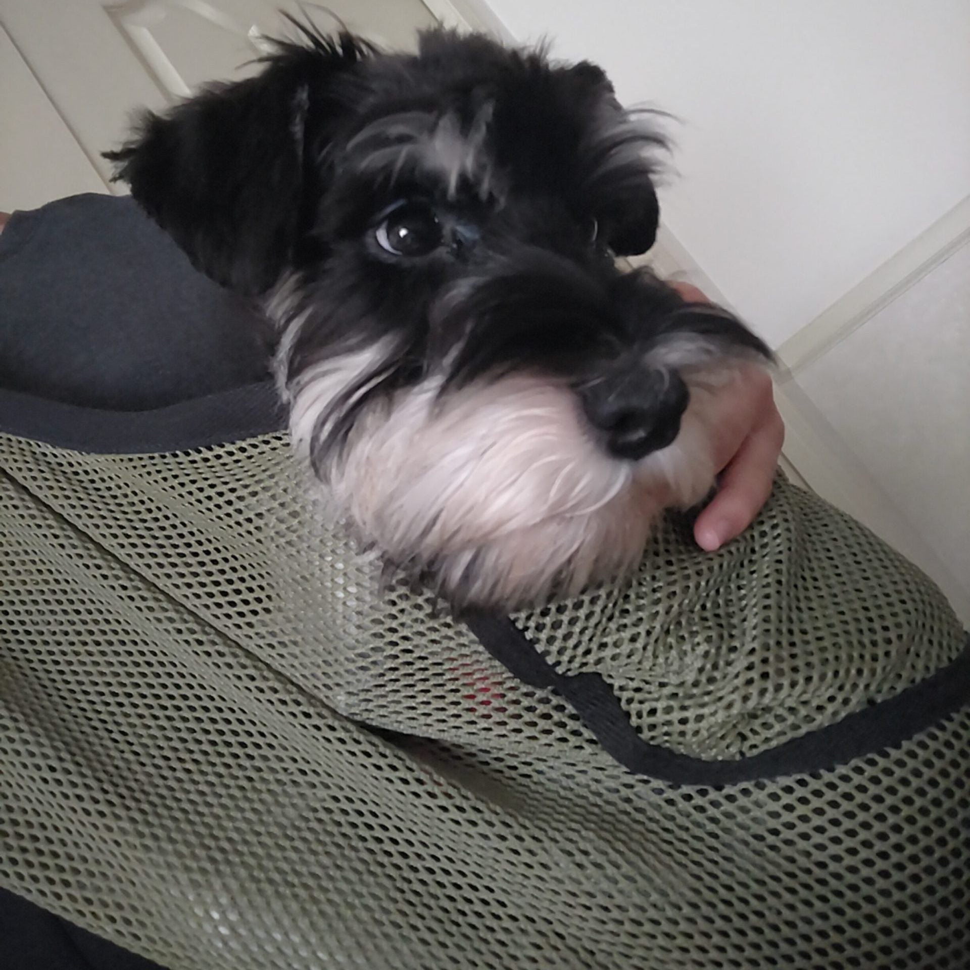 オシャレさや価格に納得