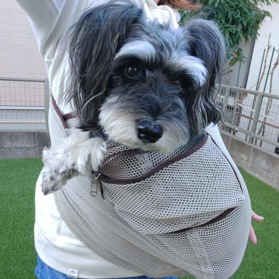 迅速に交換していただいて本当に助かりました