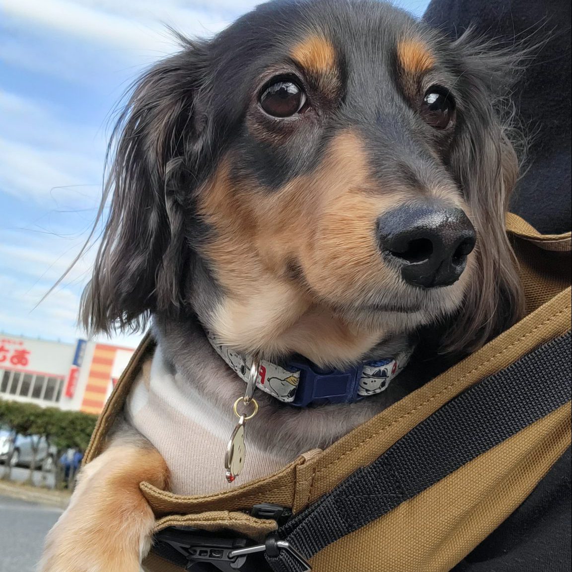 肩にも負担にならずに楽でした