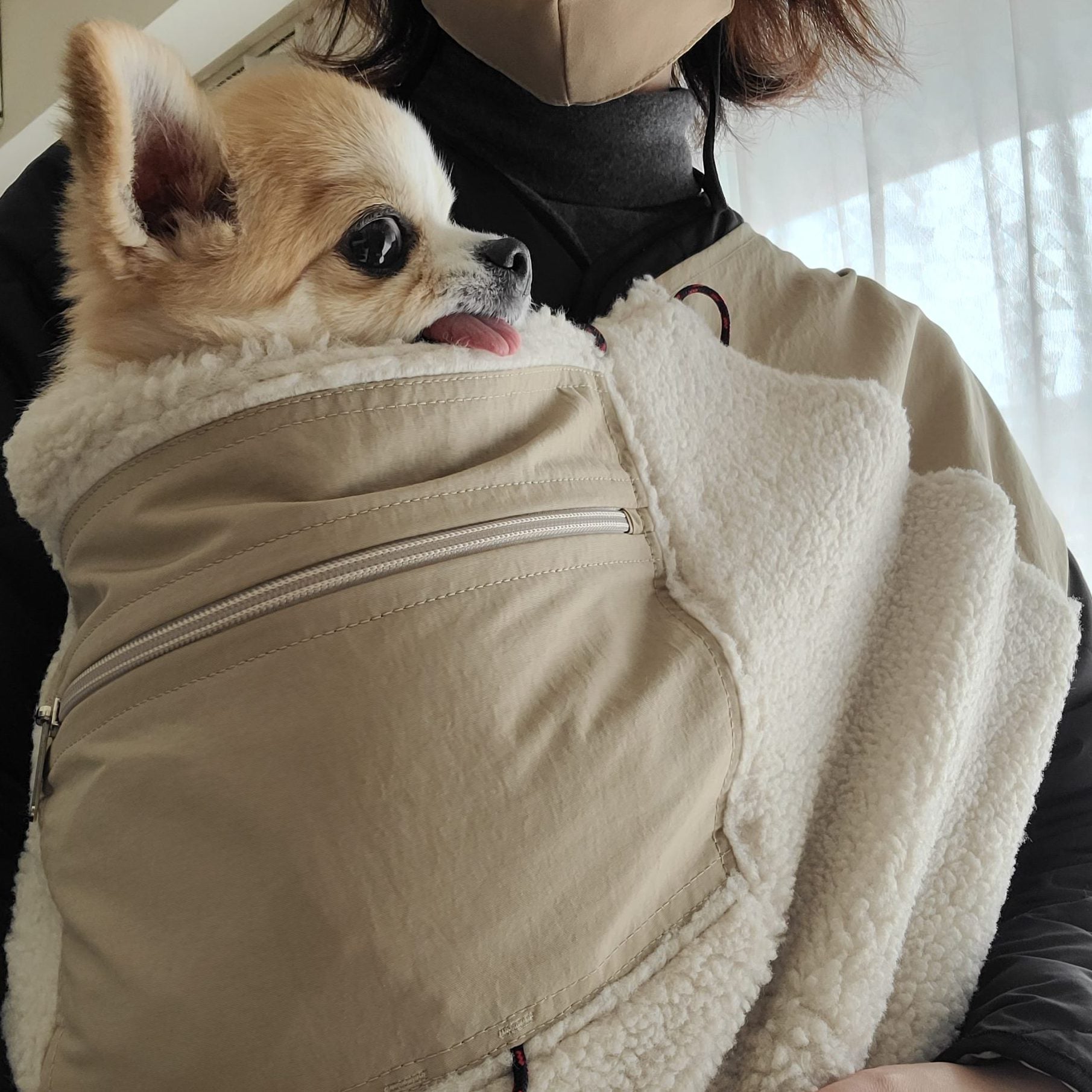 私も犬も温かい