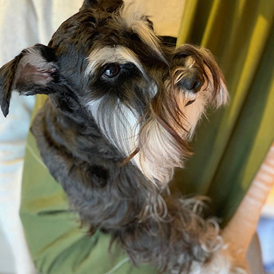 嫌がらずに入ってくれました