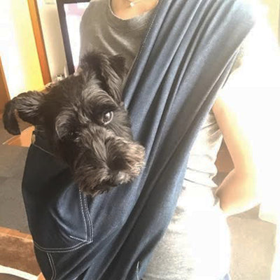 犬も落ち着いて安心しきってます