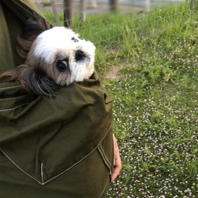 メイも大人しくまったりしている