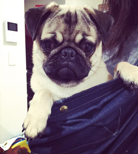 可愛いすぎて親バカ度が増しました!