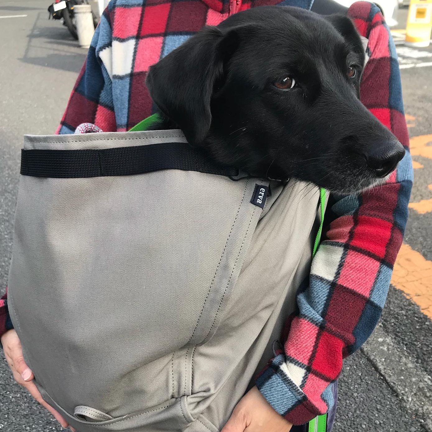 スリングで安全に抱えられる