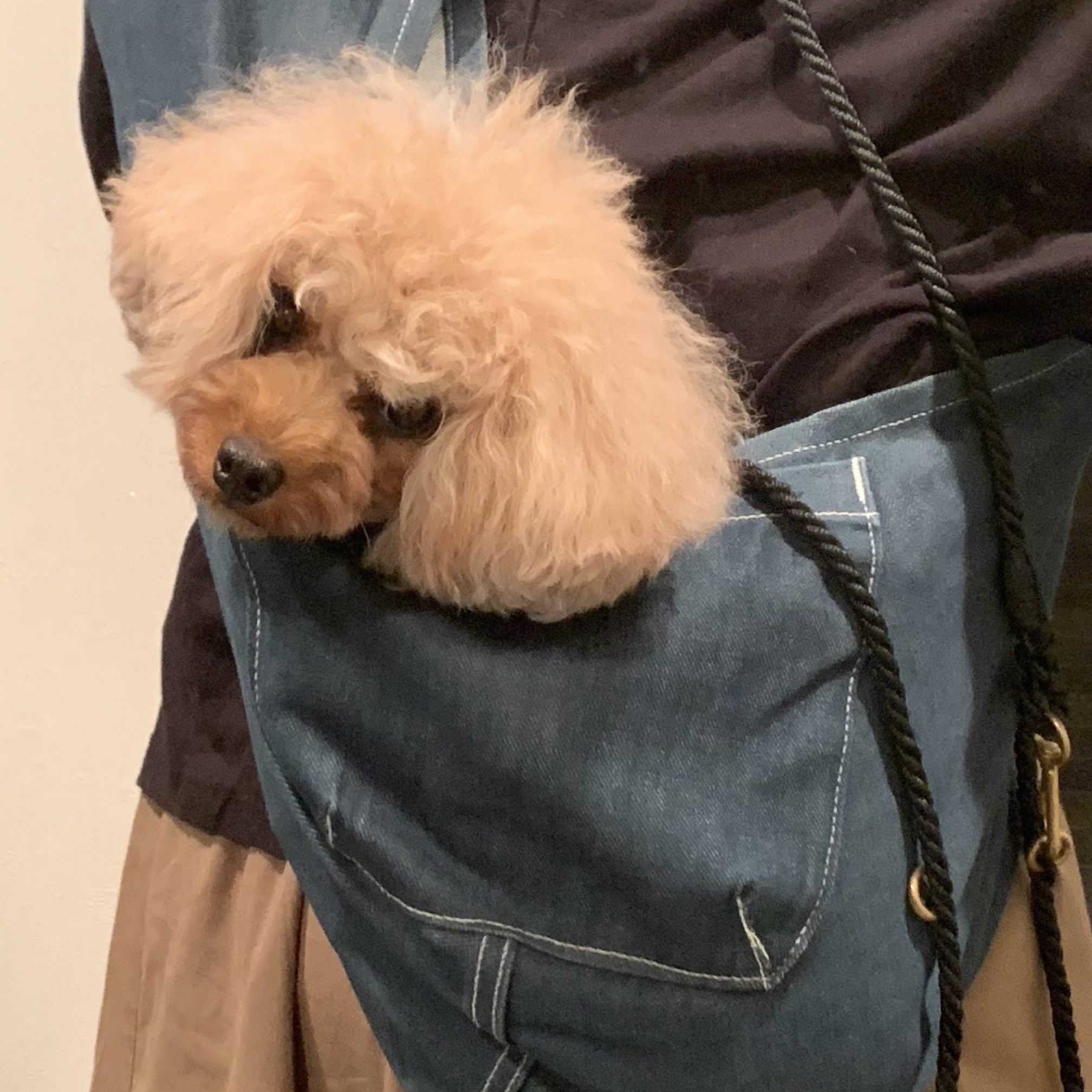 3歳になった今も愛用しています