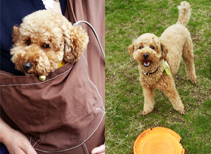 とても楽でたすかっています。