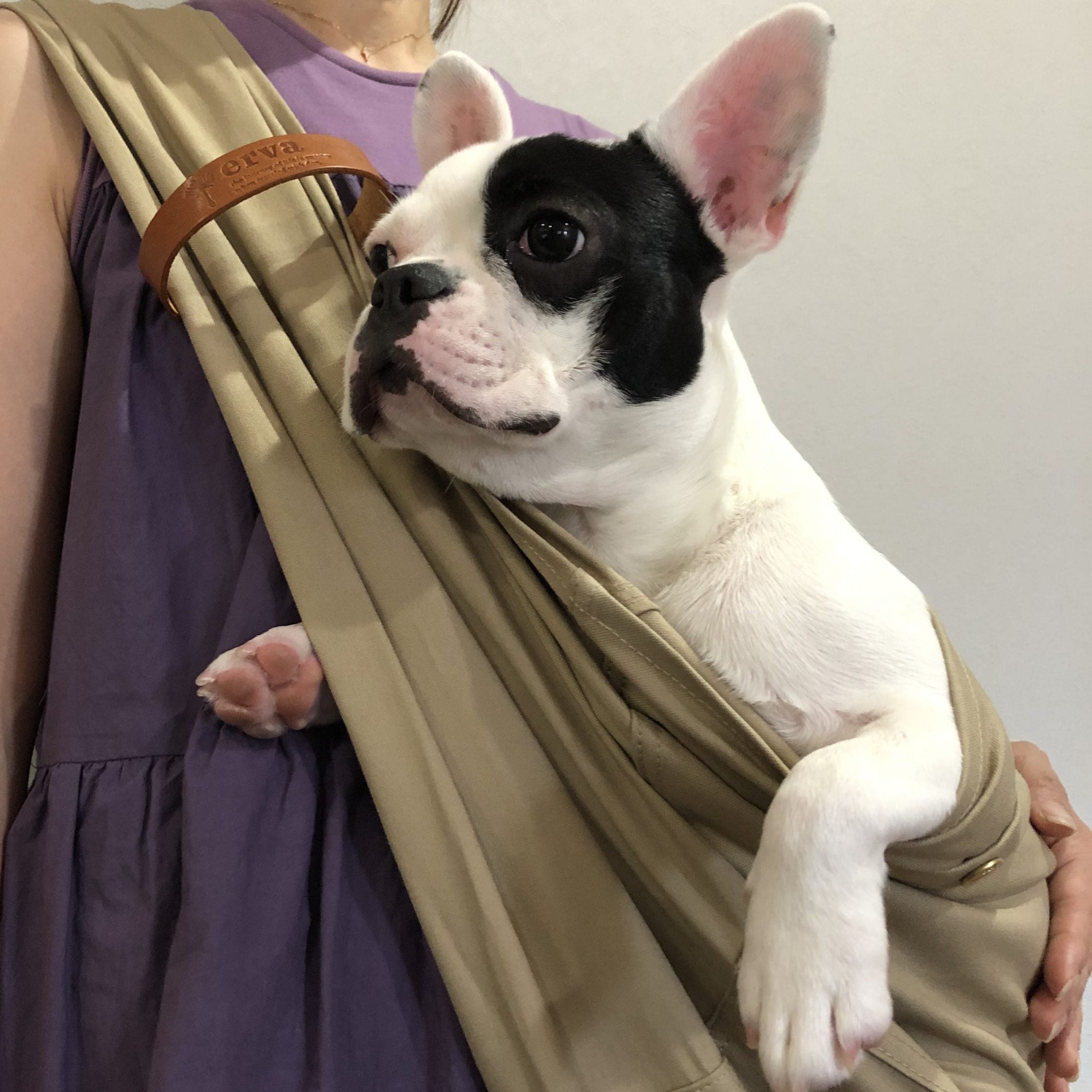 使ってみた感想は、最高です!