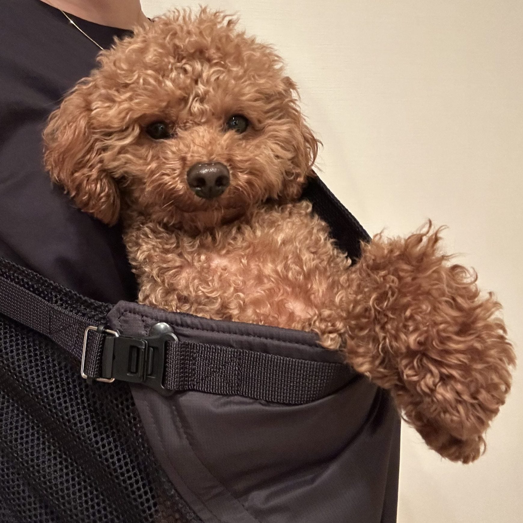 快適すぎて驚きました!