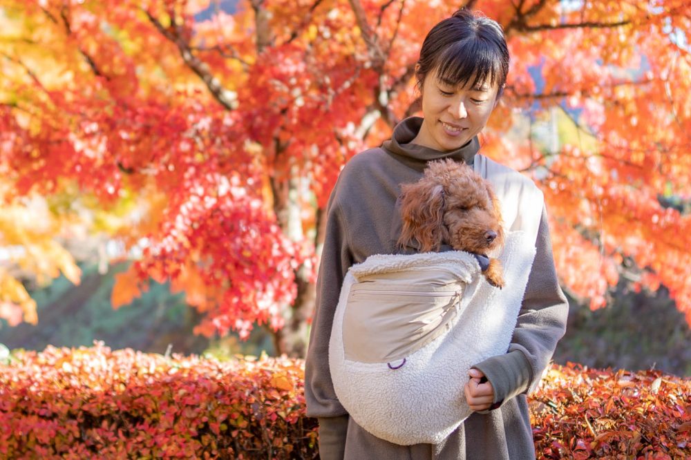 犬にスリングは良くない?という疑問に専門家が回答。安全なスリングの選び方と正しい使い方を解説。