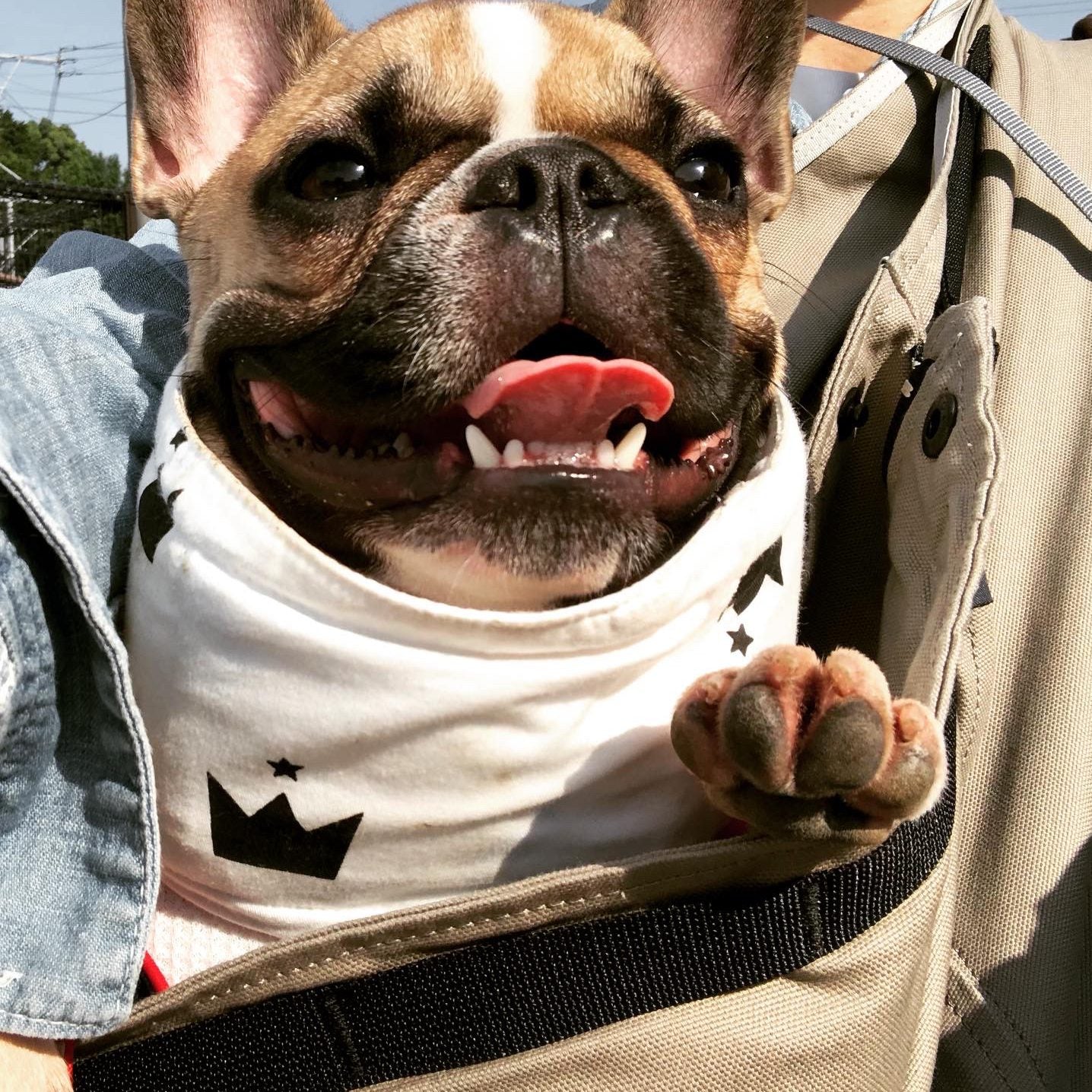 素手抱っこより軽く安定感もあり重宝