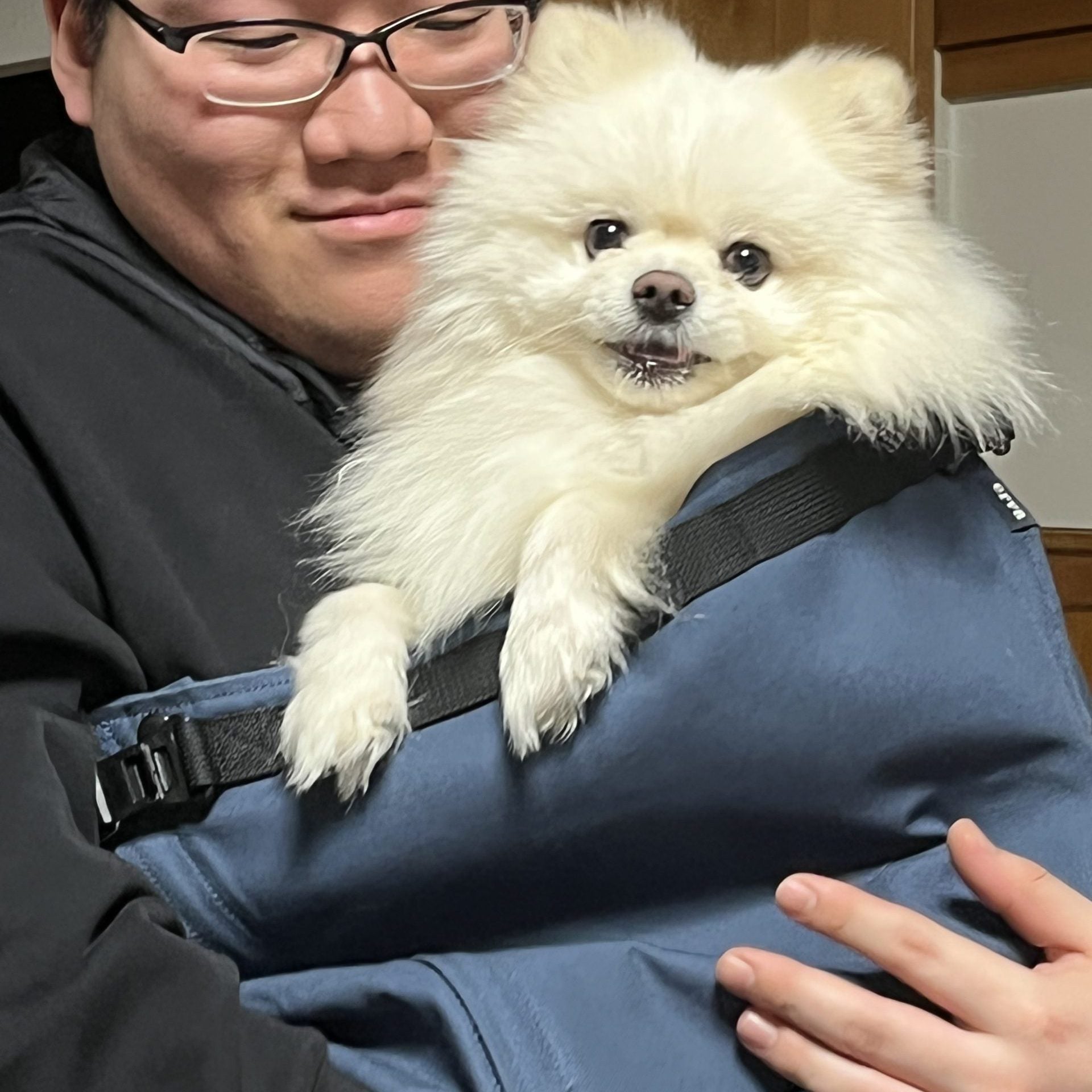 愛犬が安心して抱っこさせてくれた