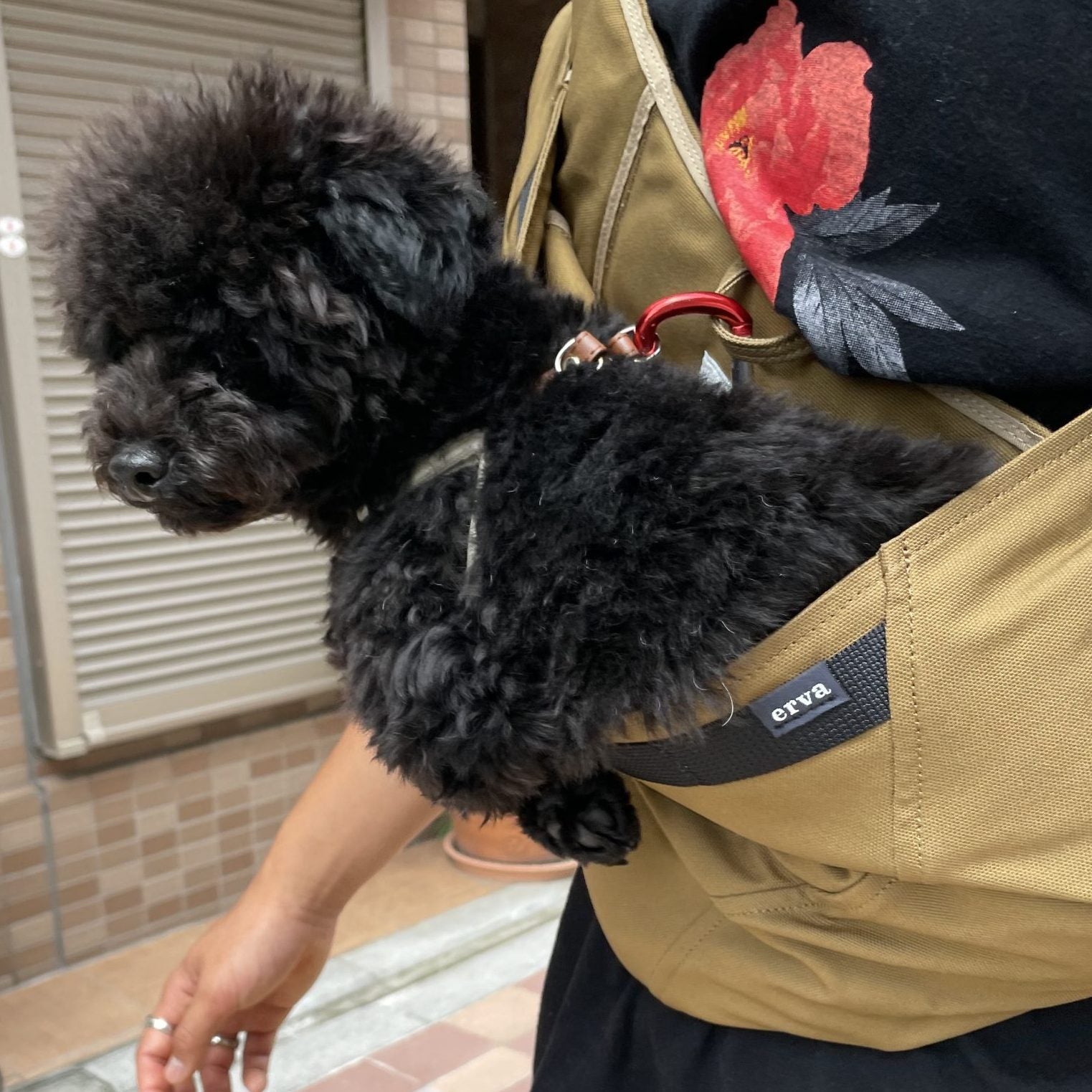 飼い主の安定する場所に長さを合わせれる