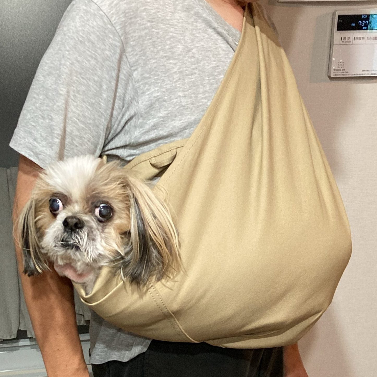 犬も心地良さそう