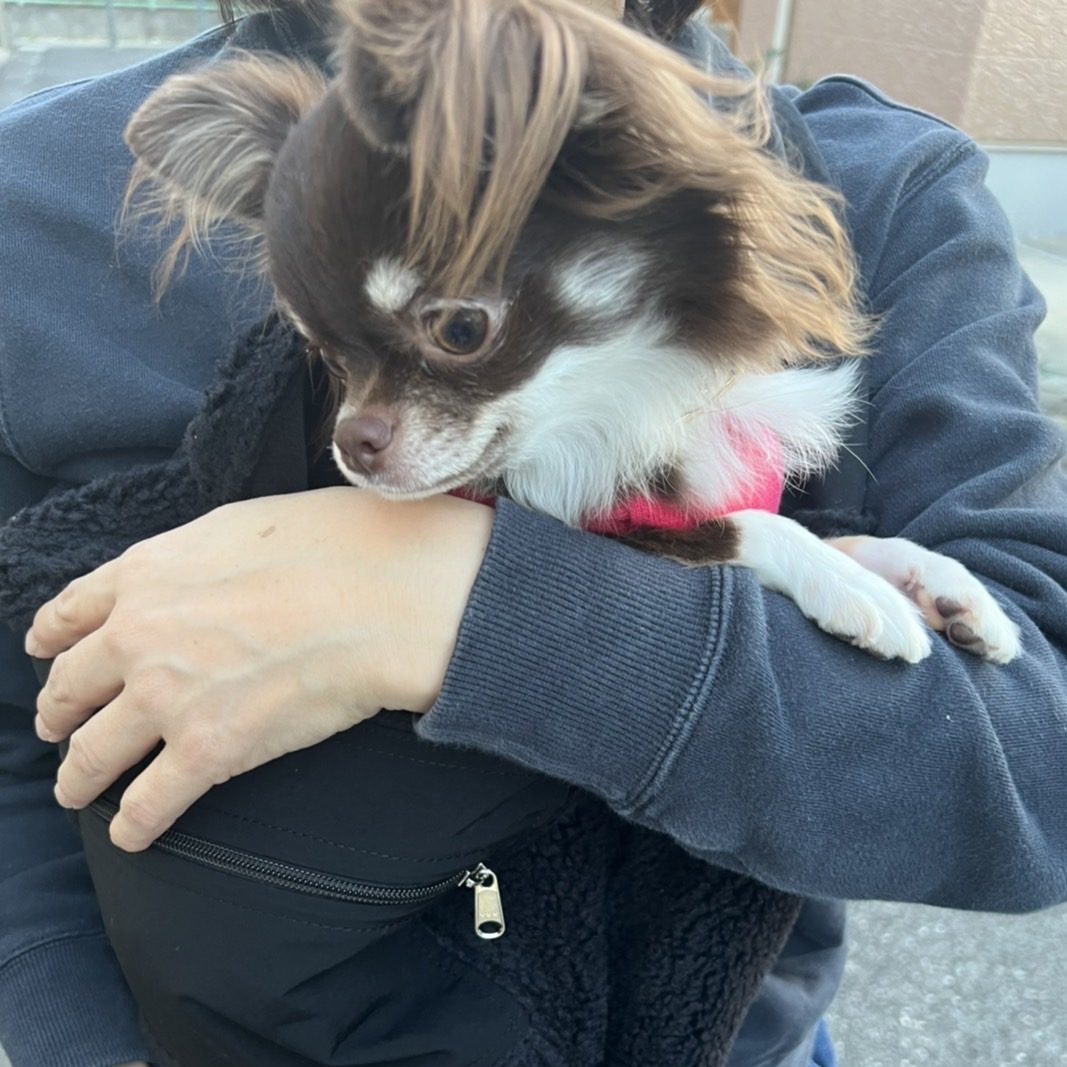 一目惚れでした!