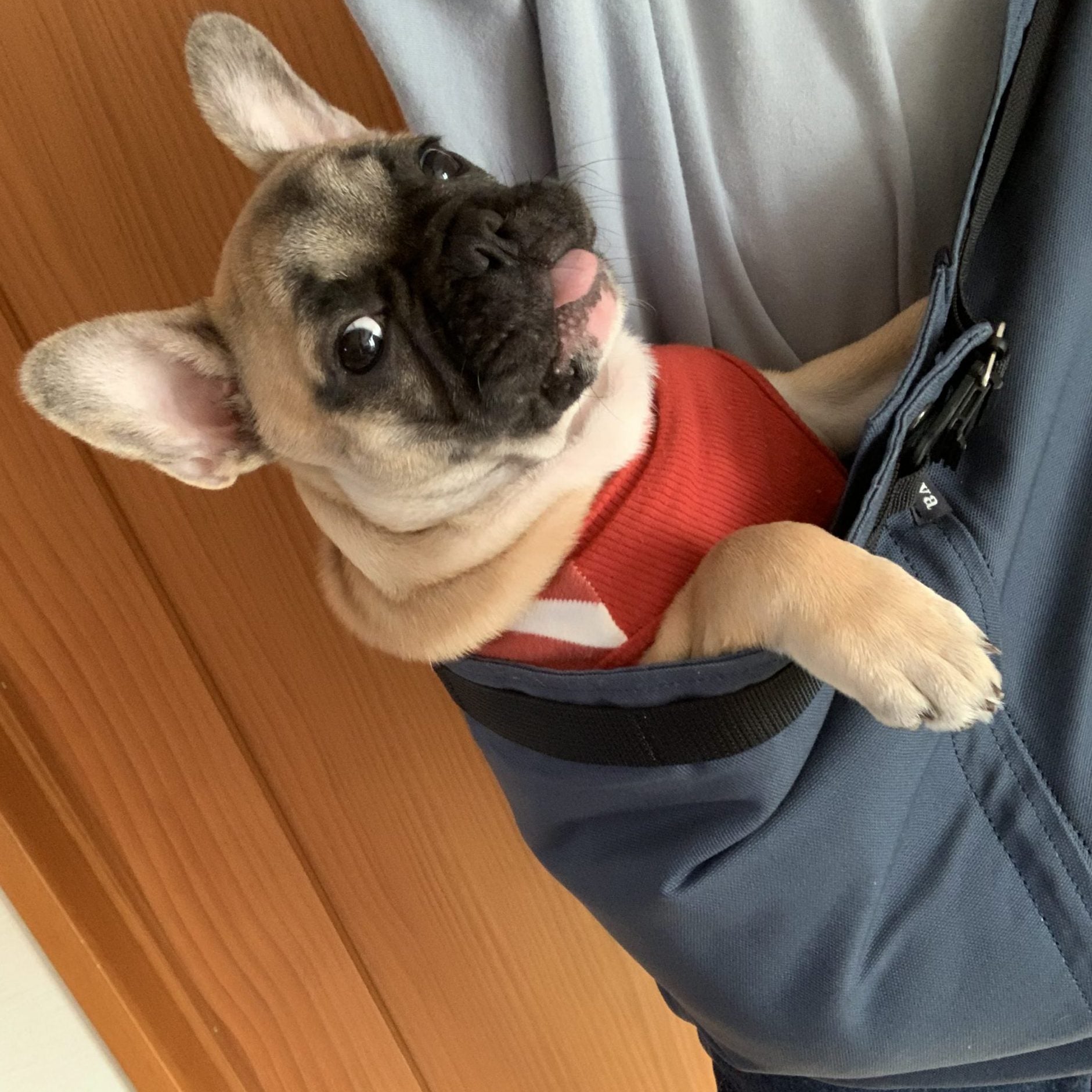 楽に抱っこ出来てとても快適