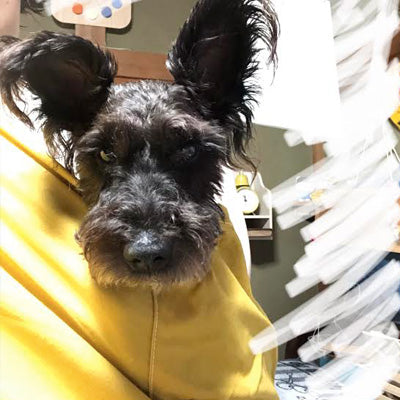 はじめて入れた時は少し戸惑っていましたが