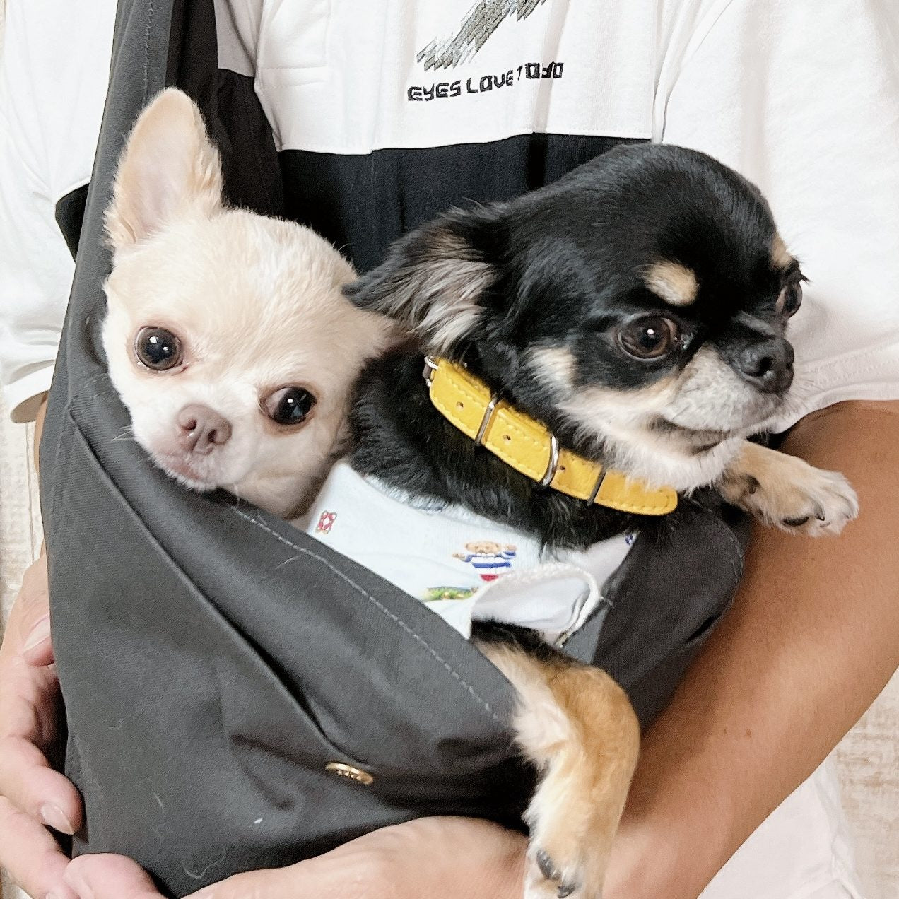 しっかりとした作り